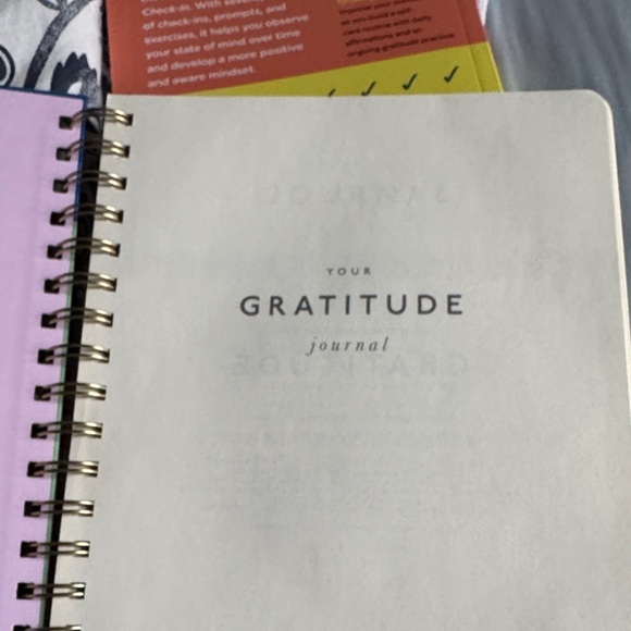 Gratitude Journal - NWOT - Picture 4 of 15